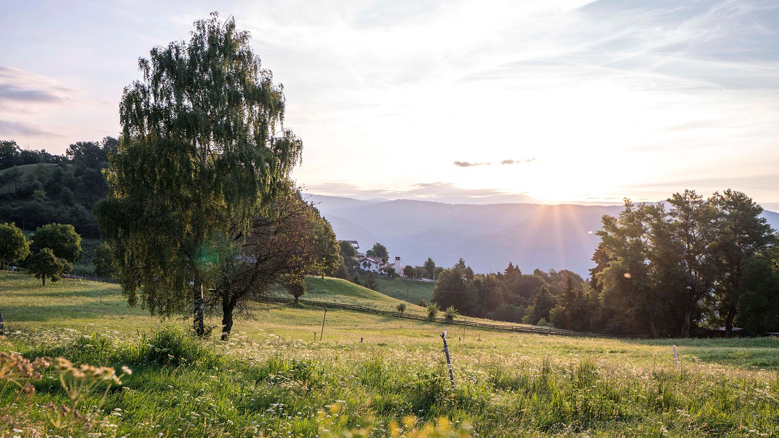 Vista della natura verdeggiante nei dintorni dell'Hotel a Tesimo